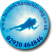 Bristol Channel Diving